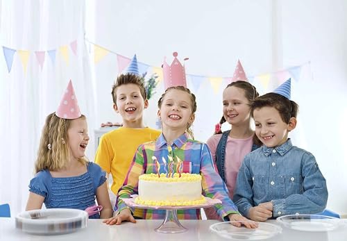 Sturdy Clear Plastic Plates 10" Party Plates 100 Pcs (10 inch / Clear)