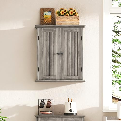 Bathroom Wall Cabinet with 2 Doors (Retro Grey / 8.8"D x 21.1"W x 24"H)