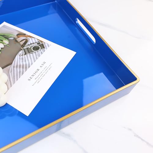 Blue Decorative Tray for Living Room (Bg001r)