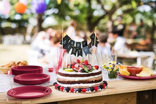 Sturdy Burgundy Plastic Plates 9" Party Plates 100 Pcs (9 inch / Burgundy)