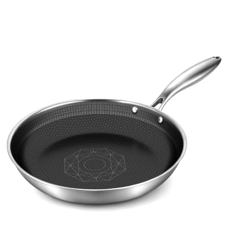 12 Inch Stainless Steel Pan (Silver / 12 Inch)