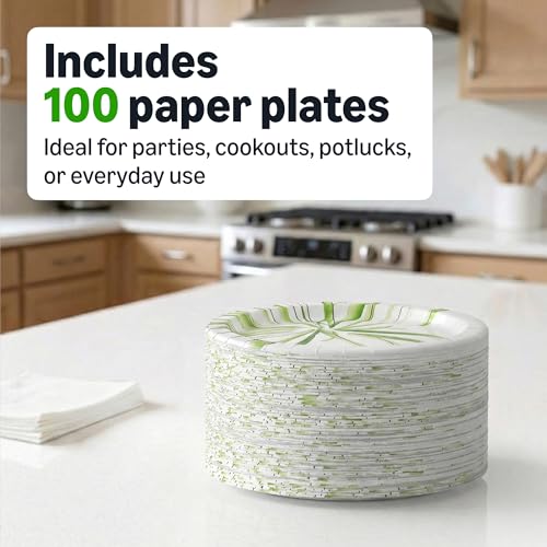 Everyday Disposable Paper Plates (100 Count (Pack of 1))