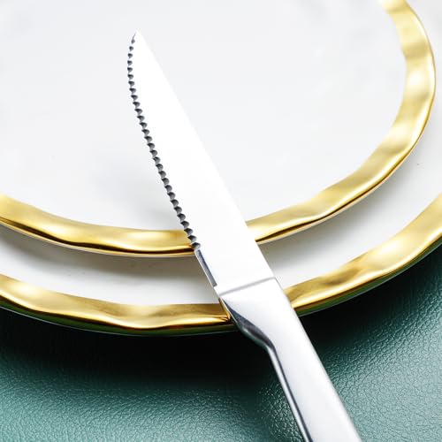 Silverware Set with Steak Knives (Mirror silver with Steak Knives)