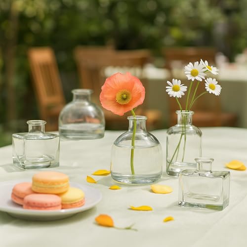 Glass Bud Vase Set of 28 Pcs