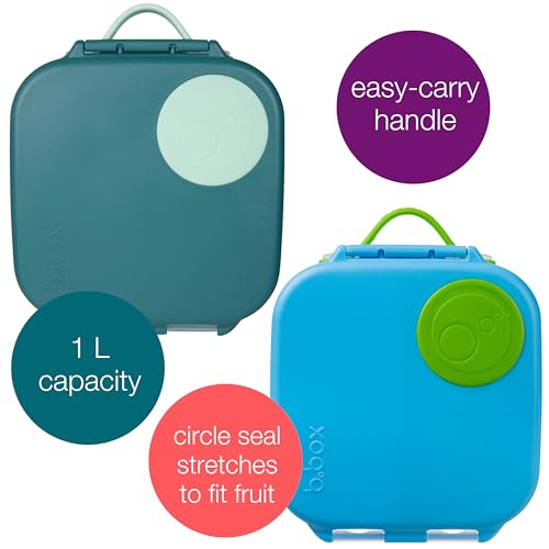Mini Lunch Box 2