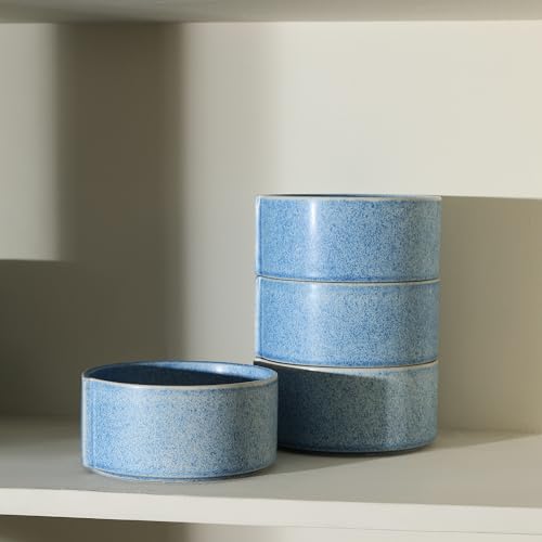 Bao 4 Piece Bowl Set Stoneware (Blue / 4-Piece - Cereal Bowl)