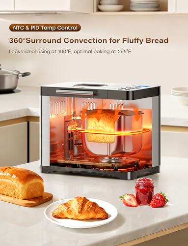 19-in-1 Programmable Bread Maker, 2.2LB Bread Machine with Healthy Ceramic Pan, Stainless Steel Bread Maker Machine with 15H Timer& 1H Keep Warm, Sourdough, Gluten Free, 3 Crust Colors, 53 Recipes (Solid Silver Stainless Steel)