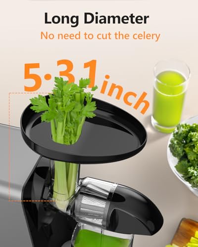 Slow Juicer with Reverse Function (Grey)