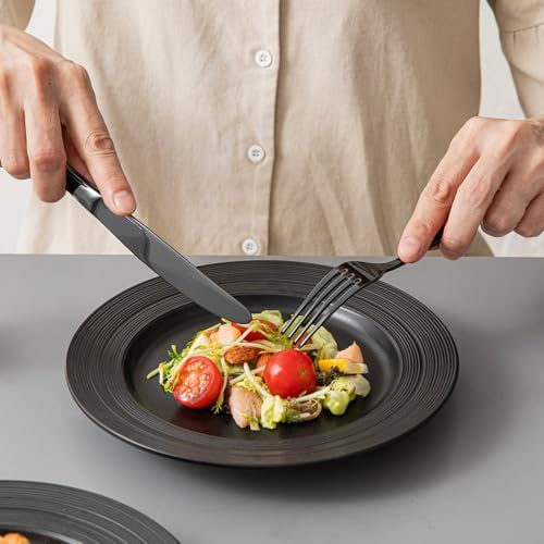 18 10 Stainless Steel Silverware Set for 4 (Black / 20-Piece)