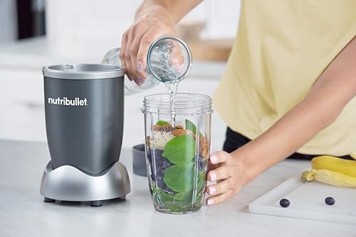Personal Blender (Gray / Personal Blender)