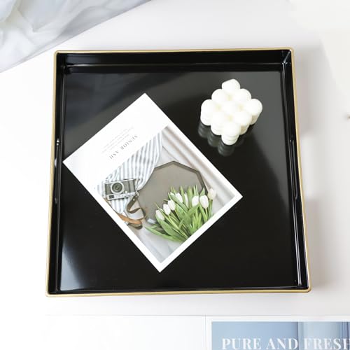 Black Decorative Tray for Living Room (Bs02re)