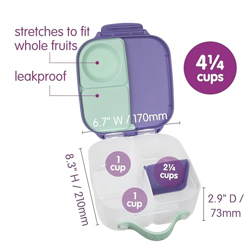 Mini Lunch Box