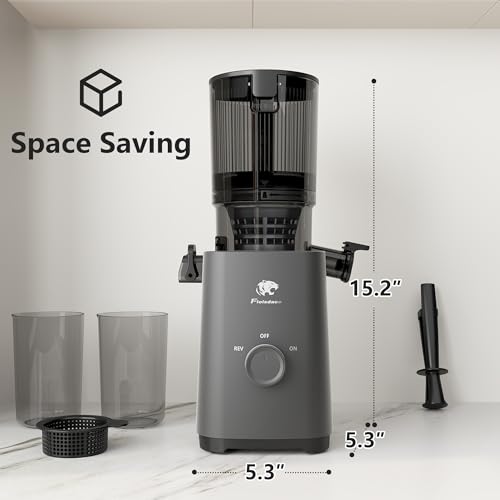 Cold Press Juicer Machines (Grey)