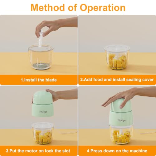 Baby Food Maker Blender (Light-Green)