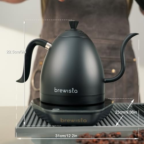 Artisan Electric Gooseneck Kettle (All Black)