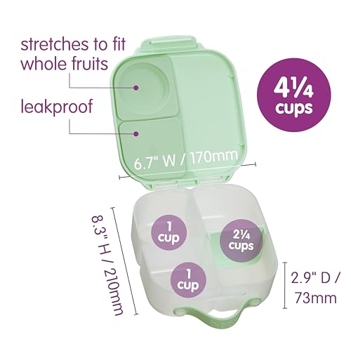 Mini Lunch Box