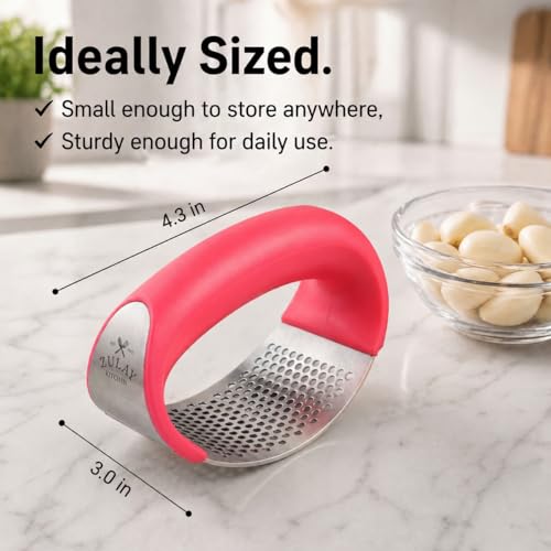 Stainless Steel Garlic Press Rocker Set (Salmon Pink)