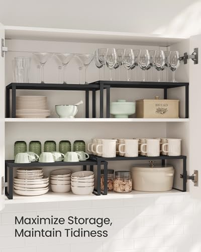 Set of 2 Metal Spice Racks (Ink Black / 2 Tiers (9"D x 15.7"W))