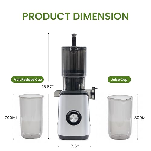 Cold Press Juicer (Silver / 200W)