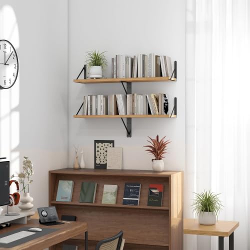 Floating Book Shelves for Wall