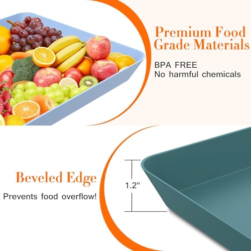6 pcs Serving Tray for Entertaining (6 Count)
