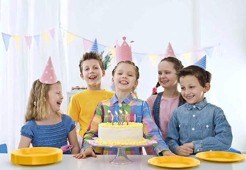Sturdy Yellow Plastic Plates 9" Party Plates 100 Pcs (9 inch / Yellow)