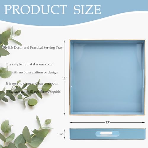 Light Blue Decorative Tray for Living Room (Bs002r)