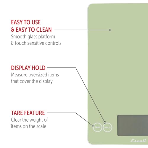Arti Glass Food Scale Digital Countertop Kitchen (Green / 9" x 6.5" x .75")
