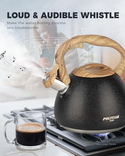 POLIVIAR Tea Kettle (2.7 Quarts / Crackle-Black)