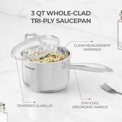 Stainless Steel Saucepan