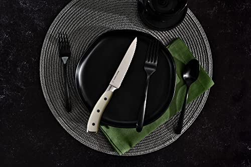 4 Piece Serrated Kitchen Steak Knife Set