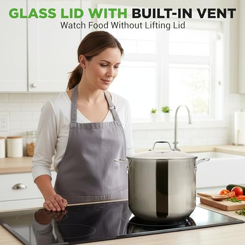 12 Quart Stainless Steel Stock Pot with Lid (Stainless Steel / 12 Quarts)