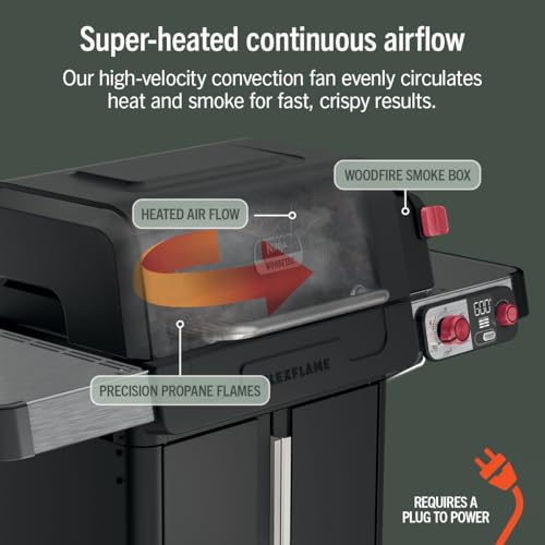 FlexFlame Grill & Smoker (Black)