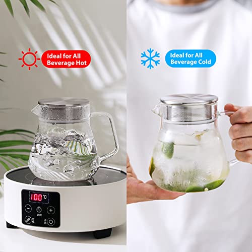 Small Glass Teapot with Stainless Steel Filter Lid (15oz(450ml))