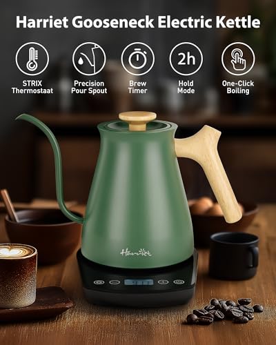 Gooseneck Electric Kettle (Green / 0.8 Quarts)