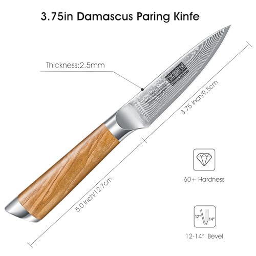 Damascus Paring Knife 3.75" (3.75 inch Paring Knife)