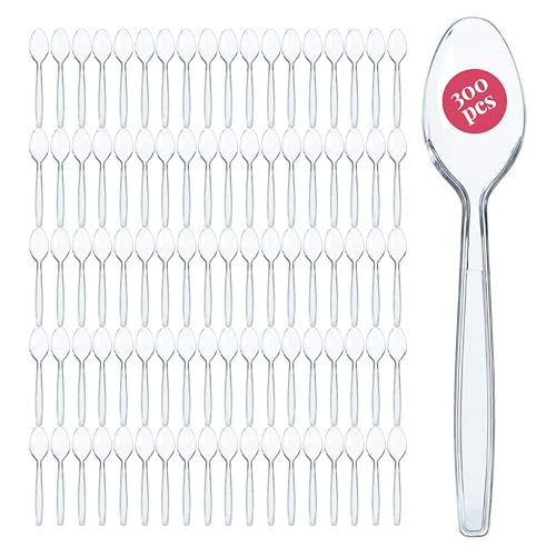 300 Plastic Spoons Bulk (300ct / Clear)