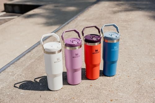 IceFlow Flip Straw Tumbler with Handle 30 oz (Tigerlily Plum / 30 Ounces)