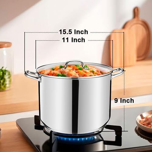 14 QT Stainless Steel Large Stock Pot (14 Quarts)
