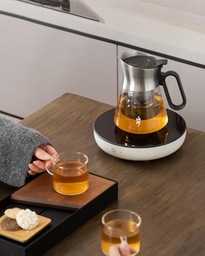 Glass Teapot with Infuser with 2 Cups for Loose Tea Steeper (23 oz (2 Cups))