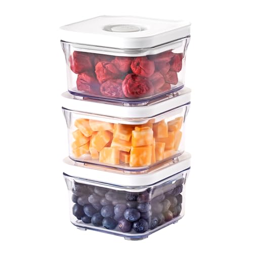 Premium Airtight Food Storage Containers (MINI SQUARE 0.3LX3PCS)