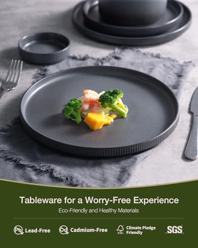 Star Stoneware Dinnerware Sets with Pasta Bowls (Matte Dark Charcoal)