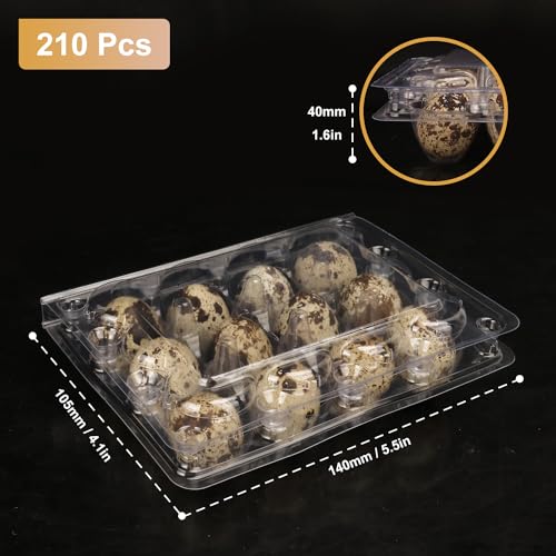 200 Pack Quail Egg Cartons (200 Pack Quail Egg Cartons 12 Grids)