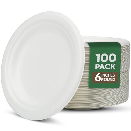6 inch Paper Plate 100 Pack Small Disposable (White / 6 IN)