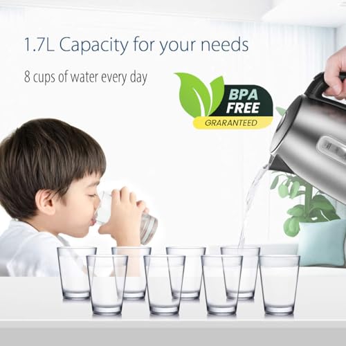 Stainless Steel Electric Kettle (1.8 Quarts / Stainless Steel)