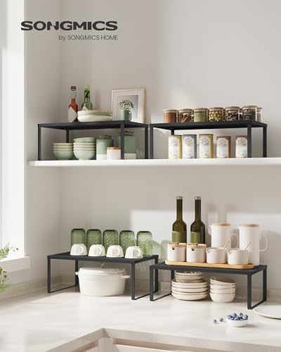 Set of 2 Metal Spice Racks (Ink Black / 2 Tiers (9"D x 15.7"W))
