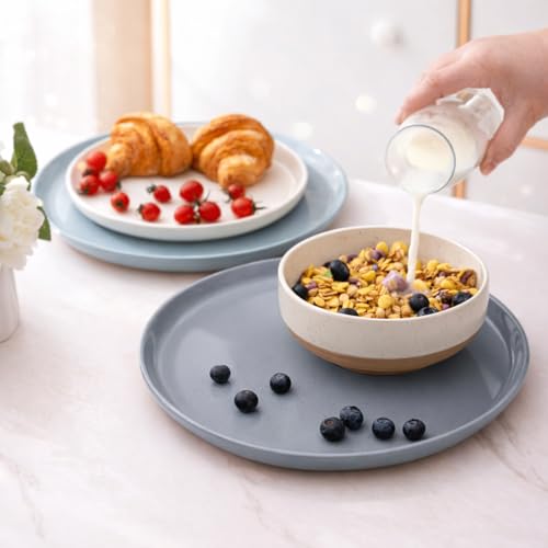 Dinnerware Sets for 8 (Multicolor / Service For 8(24Pcs))