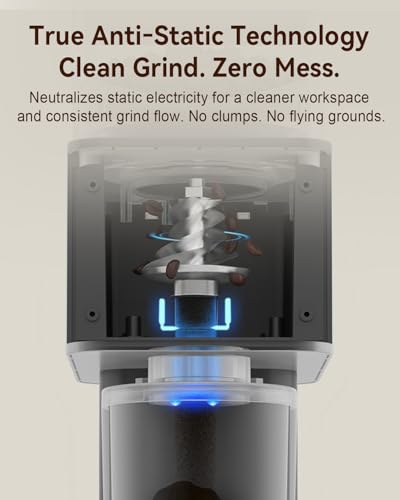 Electric Conical Burr Coffee Grinder with Removable Coffee Scale (Matte Black)