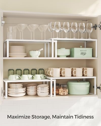 Set of 2 Metal Spice Racks (White / 2 Tiers (9"D x 15.7"W))