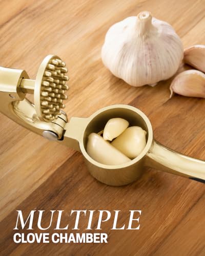 Premium Garlic Press with Soft